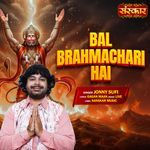 Bal Brahmachari Hai