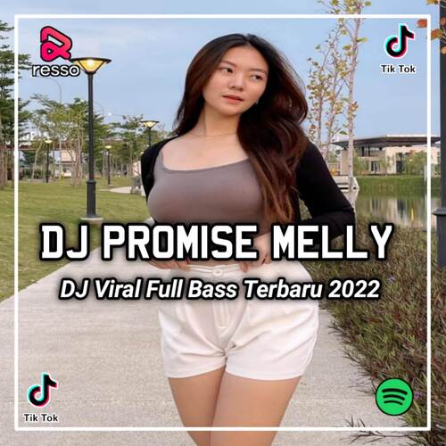 DJ AKU TAK PERLU BAHASA APAPUN UNTUK MENGUNGKAP AKU CINTA KAMU - PROMISE MELLY GOESLAW cover art