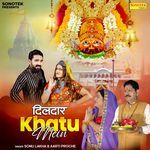 Dildaar Khatu Mein