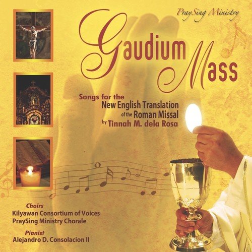 Gaudium – Artists