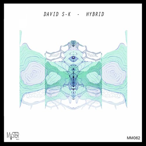 David S-k