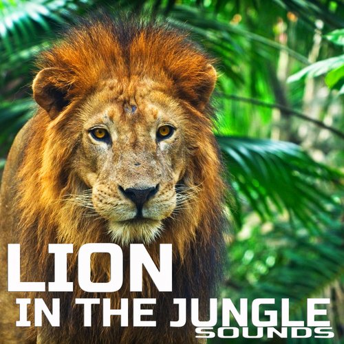 Lion In The Jungle Animal Planet (FX Effects Remix) cover art