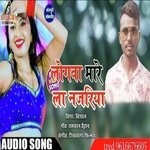 Logwa Mare La Najariya