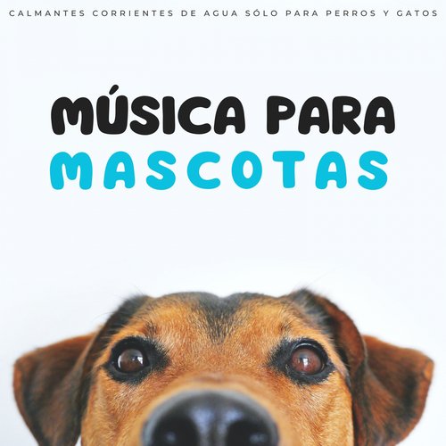 Mascotas Tranquilas cover art