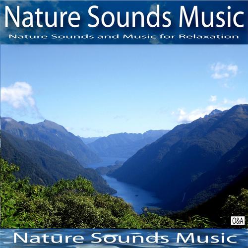 Nature Sounds Music