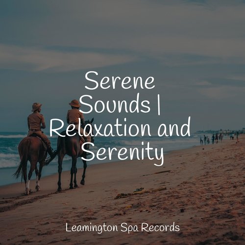 Serene Sounds | Relaxation and Serenity