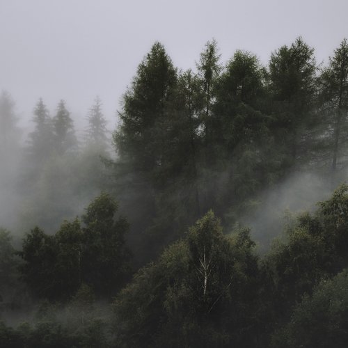 Lovely Drops cover art