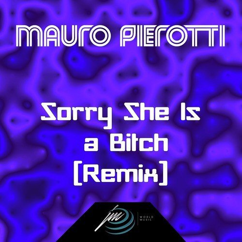 Sorry She Is a Bitch (Remix)