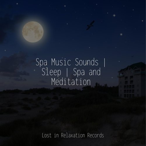 Spa Music Sounds | Sleep | Spa and Meditation