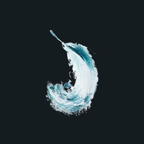 Swan