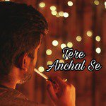 Tere Anchal Se