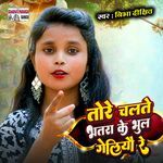 Tore Chalte Bhtra Ke Bhul Geliaau Re
