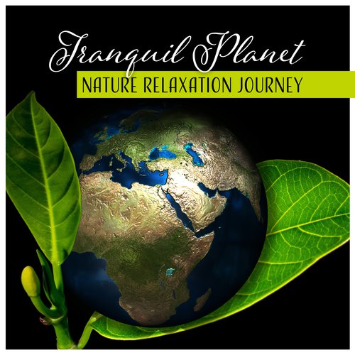 Tranquil Planet - Nature Relaxation Journey, Music for Relaxation, Sleep, Zen, Yoga, Spa, Meditation