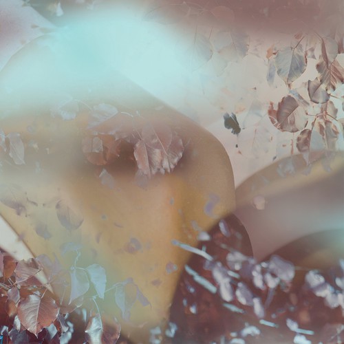 Tillmans cover art