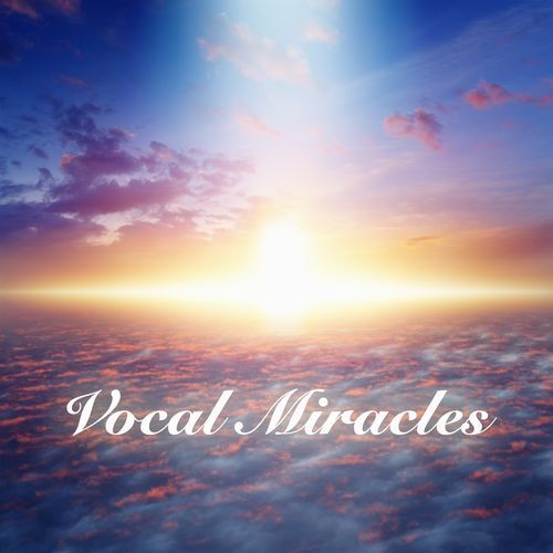 Vocal Miracles_poster_image