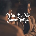 Wale Ba Na Jaram Laliya