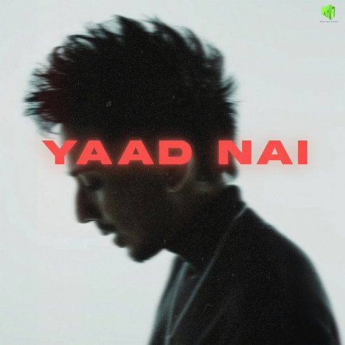 Yaad Nai