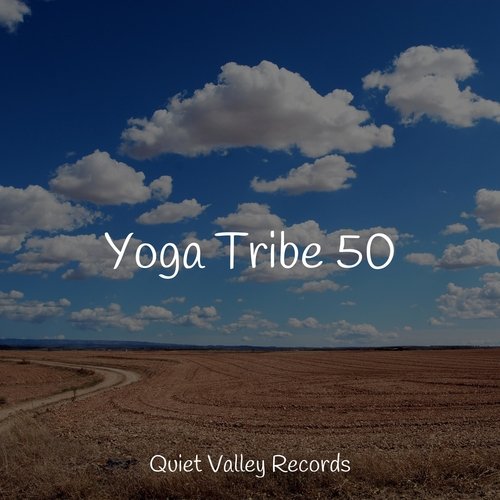 Yoga Tribe 50_poster_image