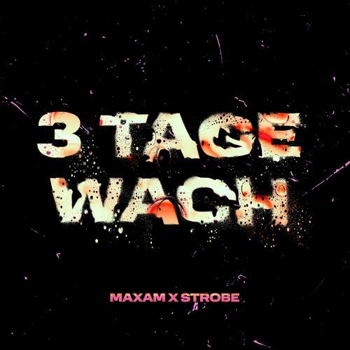 3 Tage Wach_poster_image