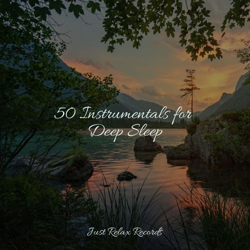 50 Instrumentals for Deep Sleep_poster_image