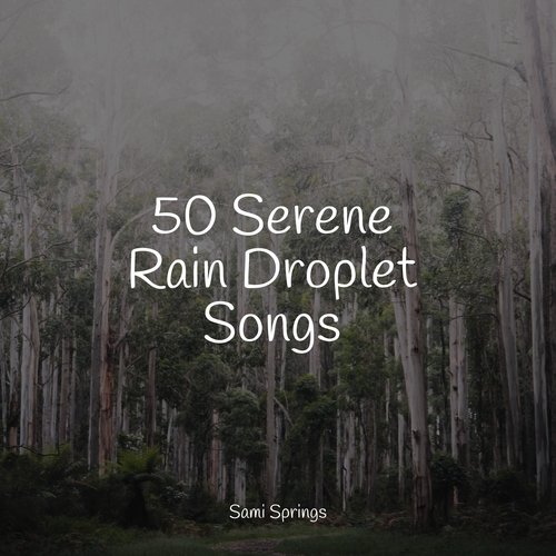 50 Serene Rain Droplet Songs