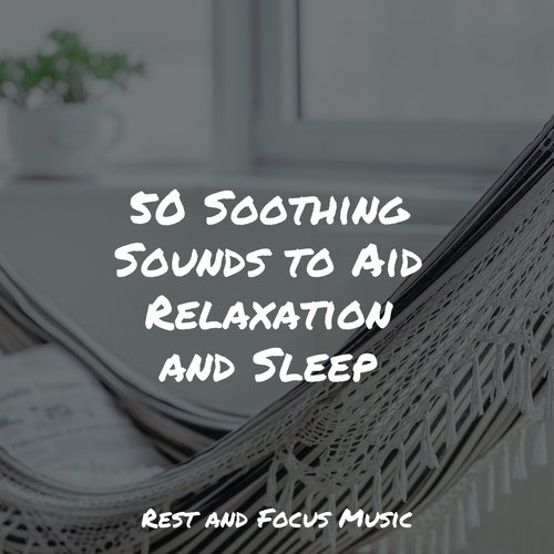 50 Soothing Sounds to Aid Relaxation and Sleep_poster_image