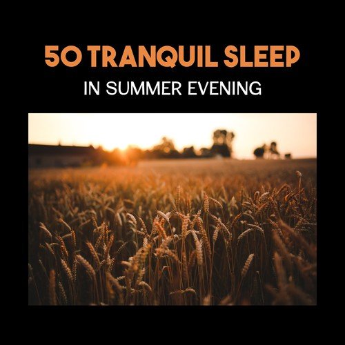 50 Tranquil Sleep in Summer Evening – Deep Relaxing Music for Better Sleep and Lucid Dreaming, Experience the Summer Relaxation
