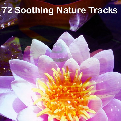 72 Soothing Nature Tracks