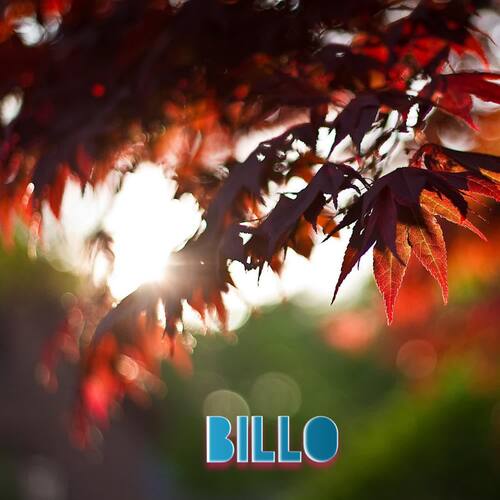 Billo