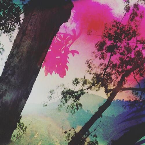 Bosque Arcoiris, Pt. 1