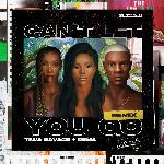 Can&#039;t Let You Go (Remix)