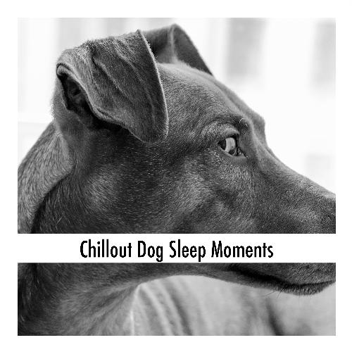 Calm Doggy cover art