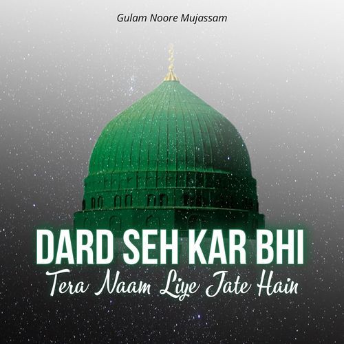 Dard Seh Kar Bhi Tera Naam Liye Jate Hain