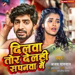 Dilwa Tor Delhi Sapanwa Me