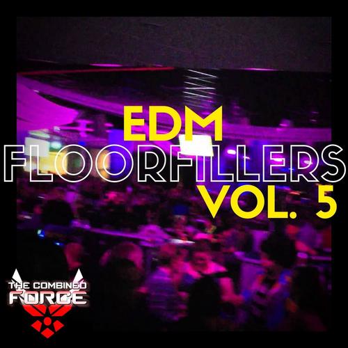 EDM FloorFillers Vol.5
