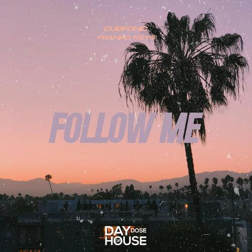 Follow Me_poster_image