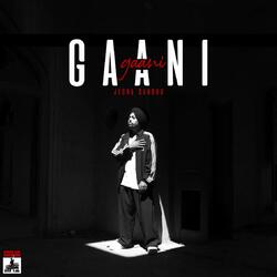 Gaani-KSEaVERIemo