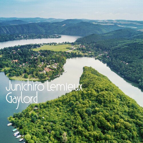 Ricci cover art