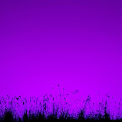 Brown Sleep Drone cover art