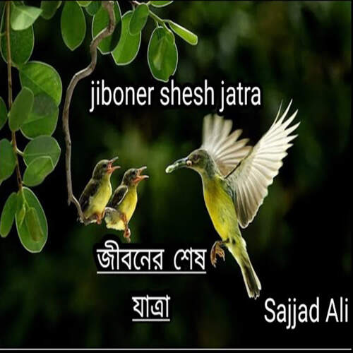 Jiboner Shesh Jatra