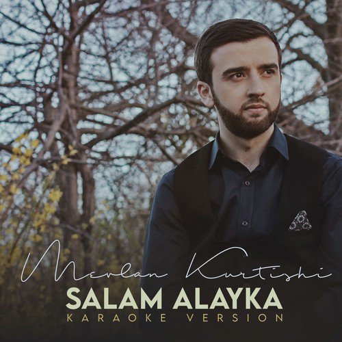 سلام عليك (نسخة كاريوكي) cover art