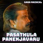 Pasathula Panenjavaru Verathula Thuninjavaru