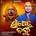 Shreekhetra Bandhu