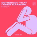 Somebody That I Used To Know