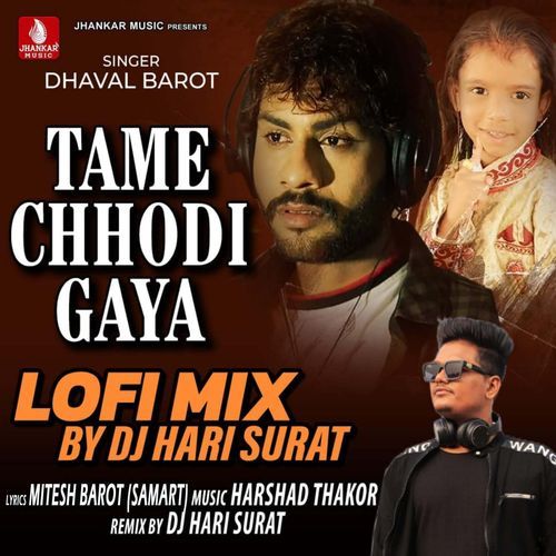 Tame Chhodi Gaya Lofi Mix