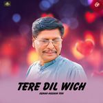 Tere Dil Wich