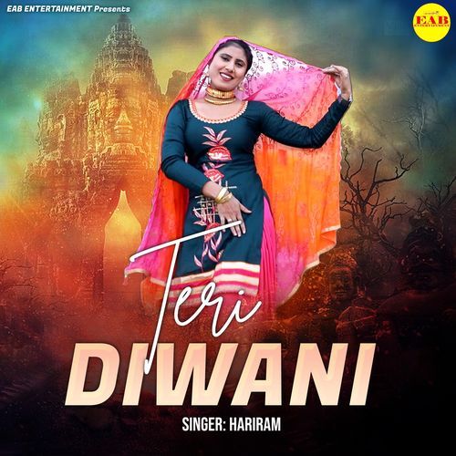 Teri Diwani
