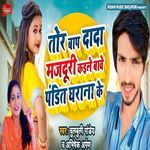 Tor bap Dada Majduri Kaile BaVe Pandit Gharana Ke
