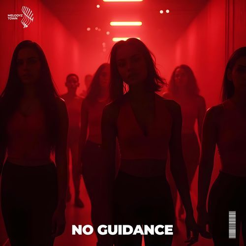 no guidance (sped up) cover art