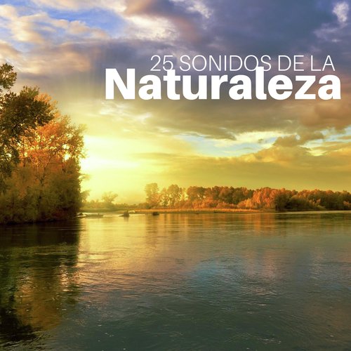 Spa de Relajación cover art